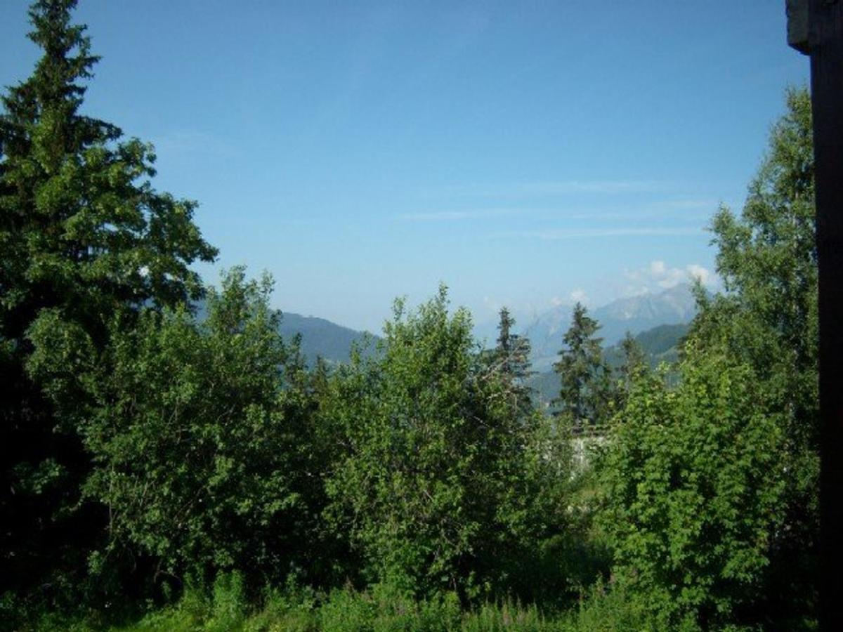 Studio Cosy 4 Pers, Rdc, Sud, A 300M Des Pistes Et 250M Commerces, Bien Equipe, Animaux Admis. - Fr-1-733-116 Crest-Voland Εξωτερικό φωτογραφία